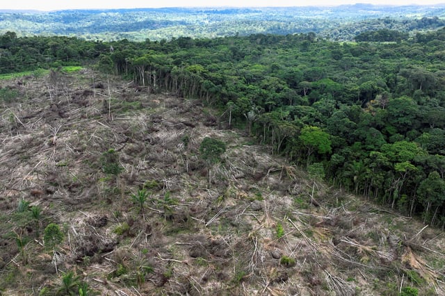 An aerial view shows a deforested area during an operation to combat deforestation near Uruara, Para State, Brazil January 21, 2023. REUTERS/Ueslei Marcelino/File Photo