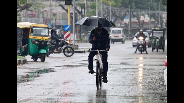 A cyclist taking cover from the rain in Sector 16, Chandigarh, on Friday. (Keshav Singh/HT)