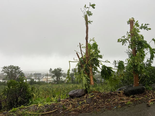 A view shows broken branches of trees during storm Garance on France's Indian Ocean island of La Reunion, in Saint-Denis, La Reunion February 28, 2025. REUTERS/Stringer