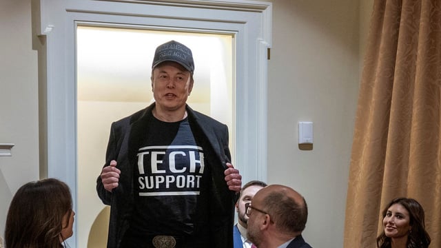 Elon Musk at a White House Cabinet meeting. Photo: JIM WATSON/AFP via Getty Images)