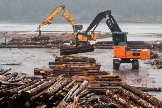 Workers sort logs in the Western Forest Products Inc. Ladysmith Log Sort in Ladysmith, British Columbia, Canada, on Tuesday, Feb. 18, 2025. Canada is the US's biggest foreign lumber supplier and has already been dealing with higher duties on its shipments that started last summer. Photographer: James MacDonald/Bloomberg via Getty Images