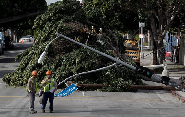 A crew from Los Angels Water and Power stands near a downed tree in the Boyle Heights section of Los Angeles, Thursday, December 1, 2011.