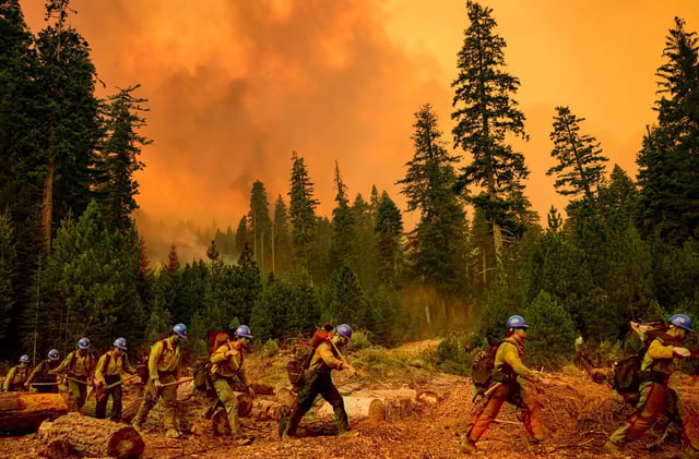 A crew of firefighters walk from a fire line during the Park Fire in Tehama County's Mill Creek area of California August 7, 2024.