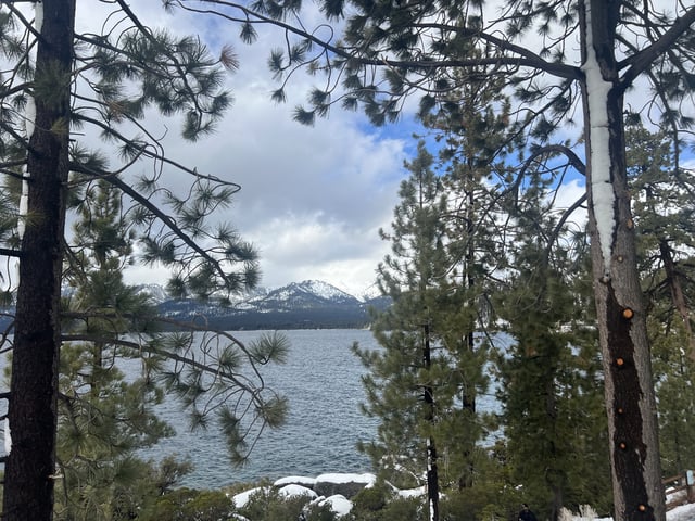 View of Lake Tahoe from the Tahoe East Shore Trail, with pine trees in the foreground and snow-capped mountains in the distance, Incline Village, Nevada, February 16, 2025.