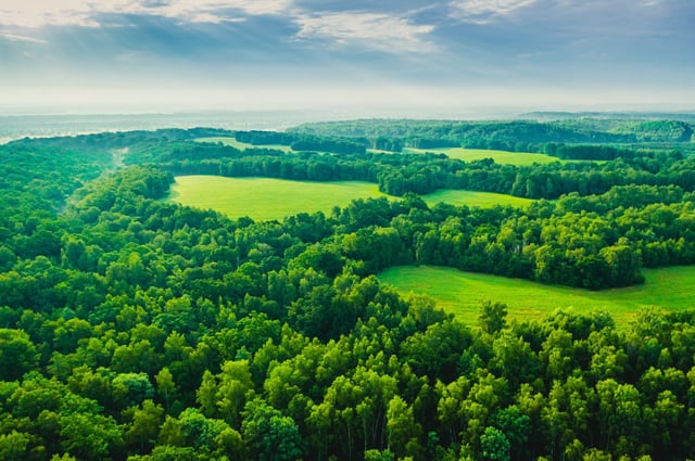 image: ©iiievgeniy | iStock
