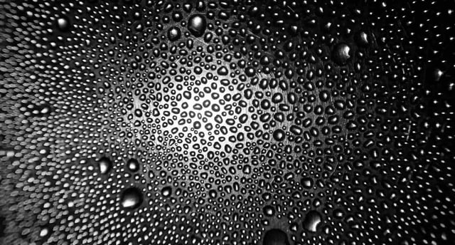 (Unsplash)