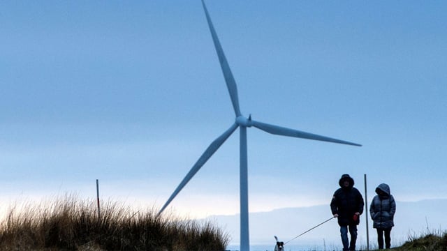 The amount paid to wind farm owners fell year-on-year, despite an increased volume of wind power being switched off