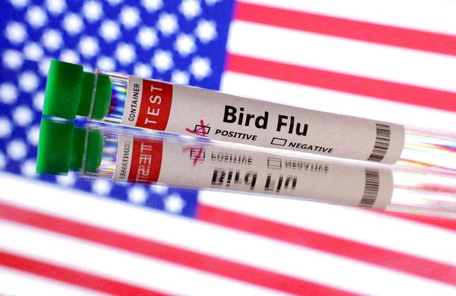 Test tube is seen labelled "Bird Flu" in front of the U.S. flag in this illustration taken, June 10, 2024.