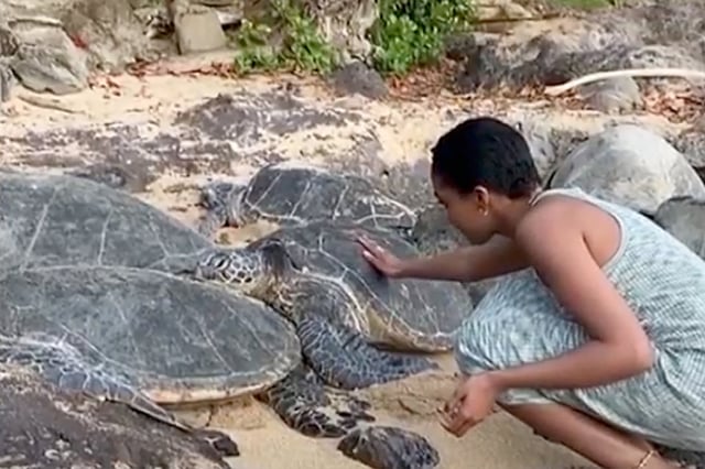 China McClain can be seen here touching an endangered sea turtle in a video the star posted on Instagram this weekend. She has since removed the video.