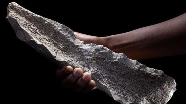 Bone tool shaped on a 1.5-million-year-old elephant humerus.