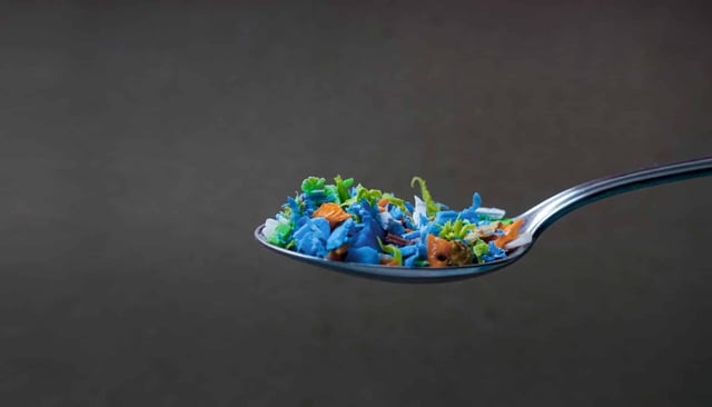 Researchers found approximately a spoonful of microplastics in post-mortem human brains.(SIVStockStudio/Shutterstock)