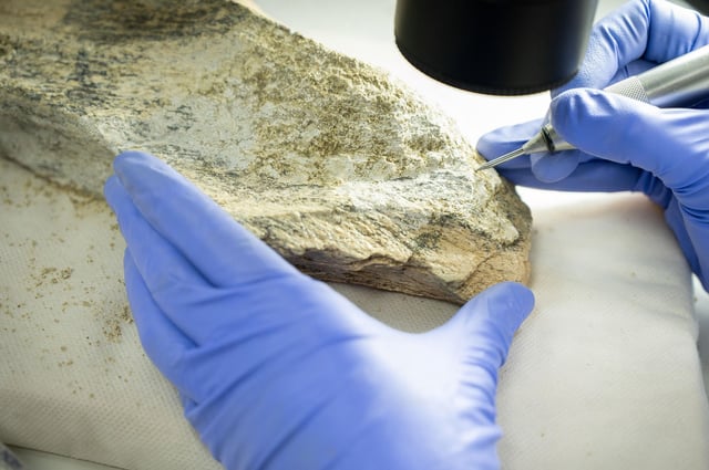 Researchers study the markings left by ancient human ancestors when they used elephant and hippopotamus bones to create tools 1.5 million years ago.