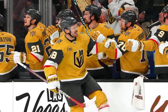 Mar 5, 2025; Las Vegas, Nevada, USA; Vegas Golden Knights center Tomas Hertl (48) celebrates after scoring a goal against the Toronto Maple Leafs during the first period at T-Mobile Arena. Mandatory Credit: Stephen R. Sylvanie-Imagn Images