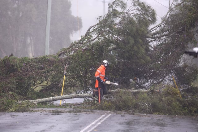A worker repairs power lines damaged due to a fallen tree following heavy rainfall before the landfall of Cyclone Alfred, at Chinderah, in Northern New South Wales, Australia, March 6, 2025.
