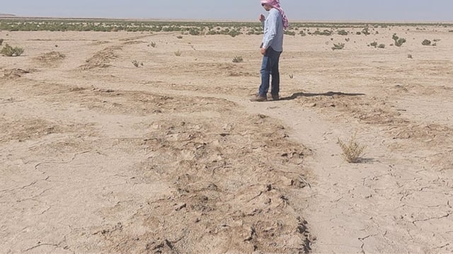 Irrigation system found hidden