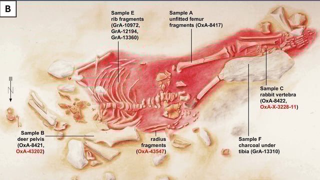 The grave site was previously estimated to be around 24,500 years old.