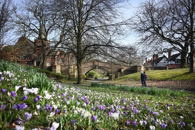 People walk along a path surrounded by crocuses in Port Sunlight industrial village in northwest England on March 4, 2025. (Photo by Paul ELLIS / AFP)