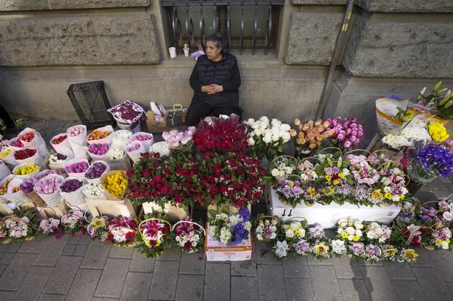 A street vendor sells flowers during the International Women's Day in Belgrade, Serbia, Saturday, March 8, 2025. (AP Photo/Darko Vojinovic)