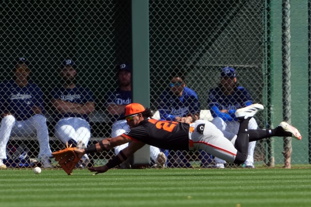 Mar 1, 2025; Phoenix, Arizona, USA; Los Angeles Dodgers pitcher Michael Grove (29) is unable to make a diving catch against the Los Angeles Dodgers during the third inning at Camelback Ranch-Glendale. Joe Camporeale-Imagn Images/File Photo