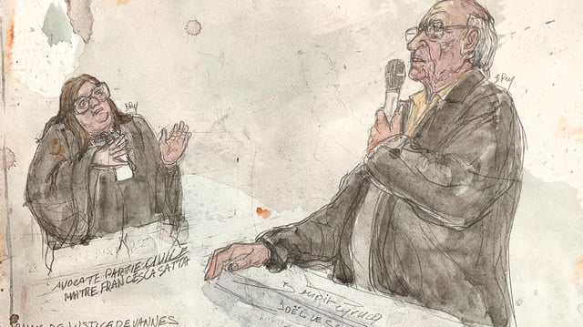 Hier, Joël Le Scouarnec a de nouveau reconnu les faits devant la cour tout en assurant ne pas se les remémorer.