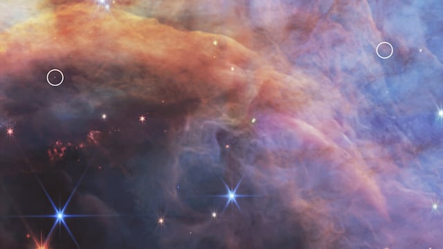 The James Webb Space Telescope zoomed in on extremely faint objects, called brown dwarfs, in the Flame Nebula.