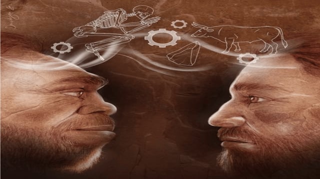 Illustration representing Homo sapiens and the Neanderthal sharing technology and behavior