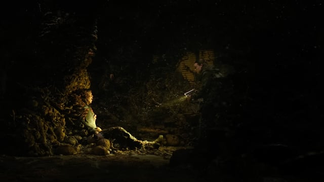 Last of us spores