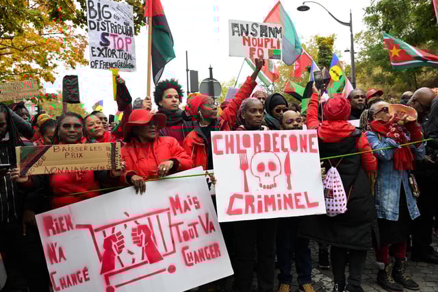 Des manifestants dénonçant l'empoisonnement au chlordécone, le 10 novembre 2024 à Paris.