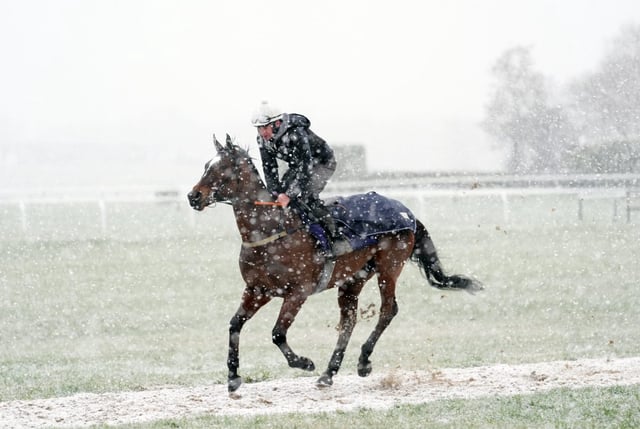 Snow falls as a horse and jockey warm up on the gallops on day two of the 2025 Cheltenham Festival (Photo: Adam Davy/PA Wire)