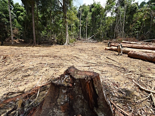 Officials from Para State, northern Brazil, inspect a deforested area in the Amazon rain forest during surveillance in the municipality of Pacaja, 620 km from the capital Belem, on September 22, 2021. - World leaders reunited in Glasgow for the COP26 on November 2, 2021 issued a multibillion-dollar pledge to end deforestation by 2030, a promise met with scepticism by environmental groups who say more urgent action is needed to save the planet's lungs. (Photo by EVARISTO SA / AFP) (Photo by EVARISTO SA/AFP via Getty Images)