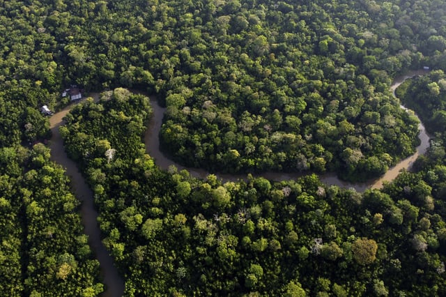 Forest lines the Combu creek, on Combu Island on the banks of the Guama River, near the city of Belem, Para state, Brazil, Aug. 6, 2023.