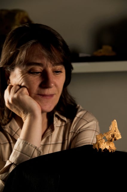 IPHES-CERCA researcher Rosa Huguet, a professor at Rovira I Virgili University, looks at the fossil of the left midface of a hominin assigned to Homo affinis erectus, that was recovered at level TE7 of the Sima del Elefante archaeological site at Spain's Sierra de Atapuerca, at an undisclosed location, in this undated handout image released on March 12, 2025. Maria D. Guillen/IPHES-CERCA/Handout via REUTERS