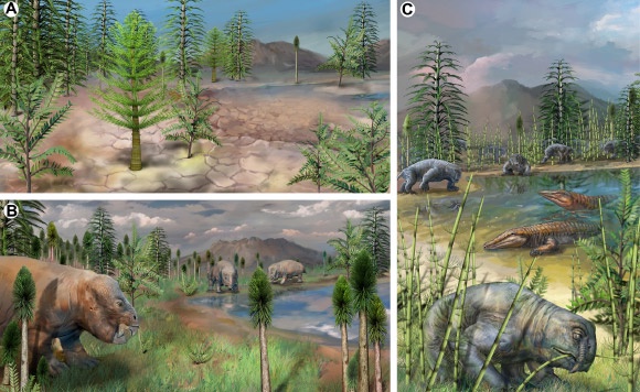 Artistic reconstruction of the terrestrial ecological landscape during, before, and after the end of the Permian mass extinction based on fossil palynomorphs, plants, and tetrapods recovered, as well as sedimentological data from the South Taodonggou section in Xinjiang, China. Image credit: D.H. Yang.