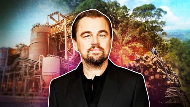 Hollywood actor Leonardo Di Caprio has taken aim at a mining expansion in Western Australia's South West region, saying it is harmful to critically endangered species.