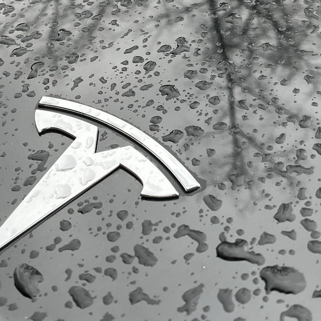 (FILES) Raindrops are seen next to the Tesla logo on the bonnet of a Tesla electric car in Berlin's Kreuzberg district on January 8, 2023. Tesla sales in Germany recorded another drop, official data showed on March 5, 2025, after billionaire owner Elon Musk vocally backed the far-right AfD during the country's recent election campaign. Just 1,429 of the US group's electric vehicles were registered in Europe's biggest auto market in February 2025, down over 76 percent year-on-year, the KBA federal transport authority said. (Photo by David GANNON / AFP) (Photo by DAVID GANNON/AFP via Getty Images)