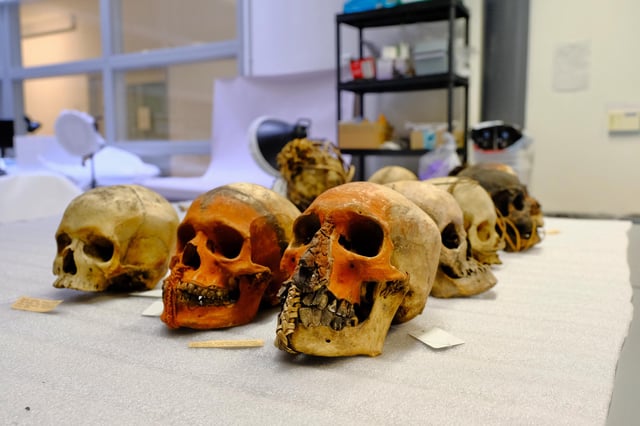 The Pitt Rivers Museum in Oxford, England removed all human remains from its displays in 2020 as part of a "decolonization process."