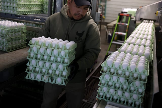 U.S. egg prices have continued to skyrocket amid the spread of the avian flu.