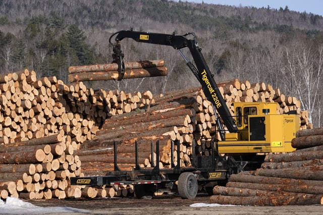 Logs are sorted at the White Mountain Lumber Co., Thursday, March 13, 2025, in Berlin, N.H. (AP Photo/Robert F. Bukaty)