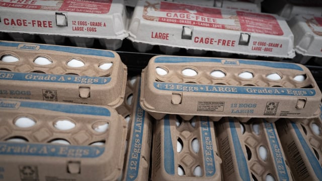 Seizures of black market eggs have increased by 36 per cent compared with last year