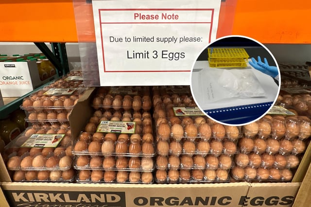 Main: A limit sign hangs over a display of brown eggs in a Costco warehouse Thursday, March 13, 2025, in Sheridan, Colo. Inset: Fentanyl under a ventilation hood at the San Ysidro Port of Entry, Sunday, March 16, 2025, in San Diego.