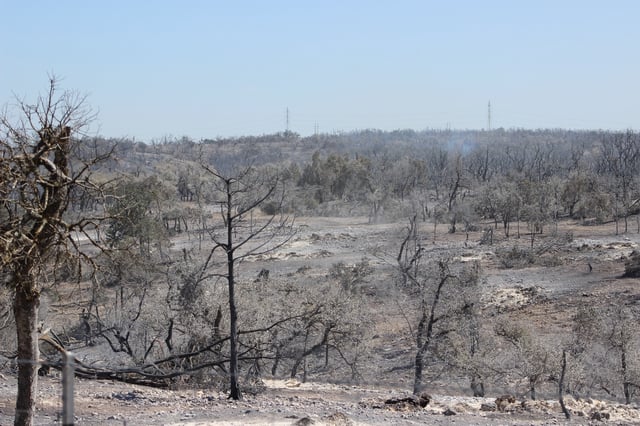 The Crabapple Fire near Fredericksburg had burned about 9,700 acres as of Monday morning, according to officials. 