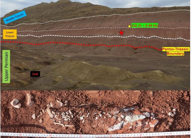 Strata exposed in South Taodonggou, in western China, where the terrestrial refugium was found. The yellow dot is the location of volcanic ash with the radiometrically dated age. The star denotes location of the complete tetrapod skeleton shown in the lower panel. Image: NIGPAS