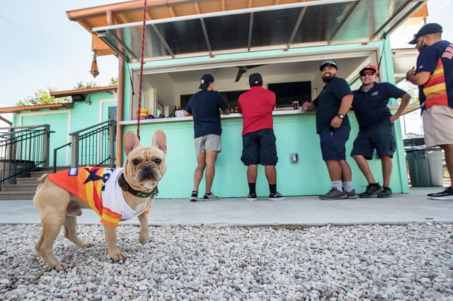 The French Bulldog continues its reign as Houston&#39;s most popular dog for the 7th straight year, according to the new ranking by the American Kennel Club. Here, Knox, Jacob Perez&#39; French bulldog, wears and Astros rainbow jersey as he joins Perez at East End Backyard. 