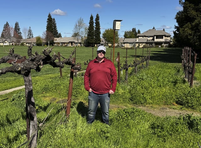 Craig Ledbetter of Vino Farms stands in a demonstration vineyard the Lodi Wine Visitor Center in Lodi, California on March 18, 2025. (AP Photo/Terry Chea)