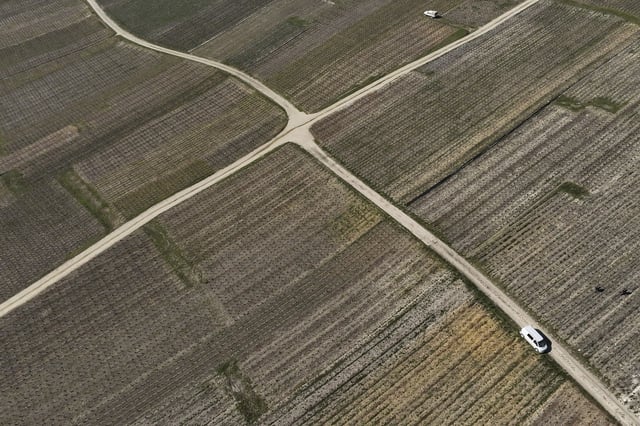 View of champagne vineyards in Cuchery, eastern France, Monday, March 17, 2025. (AP Photo/Thibault Camus)