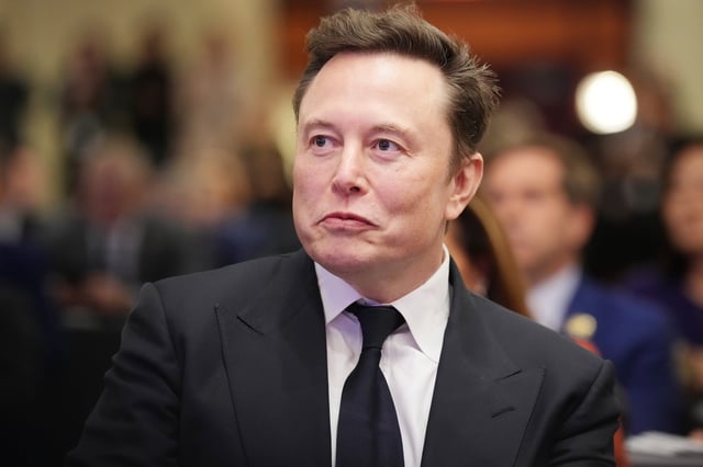Elon Musk addresses a House Republicans Conference meeting in Washington, D.C. on November 13, 2024.Andrew Harnik/Getty Images
