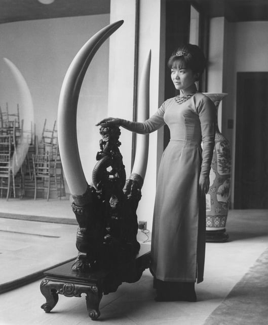 Tran Le Xuan was the wife of Ngo Dinh Nhu, chief adviser to his brother Ngo Dinh Diem after he became president of South Vietnam in 1955. President Diem never married, and Madame Nhu unofficially was the first lady.