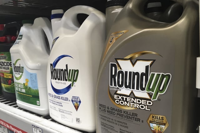 FILE - In this Feb. 24, 2019, file photo, containers of Roundup are displayed on a store shelf in San Francisco. (AP Photo/Haven Daley, File)