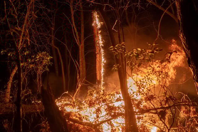 The Deepwoods Fire is seen on March 23, 2025, in Columbus, North Carolina.