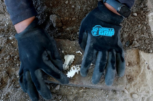 A member of a collective searching for missing Mexicans examines remains at the Izaguirre Ranch